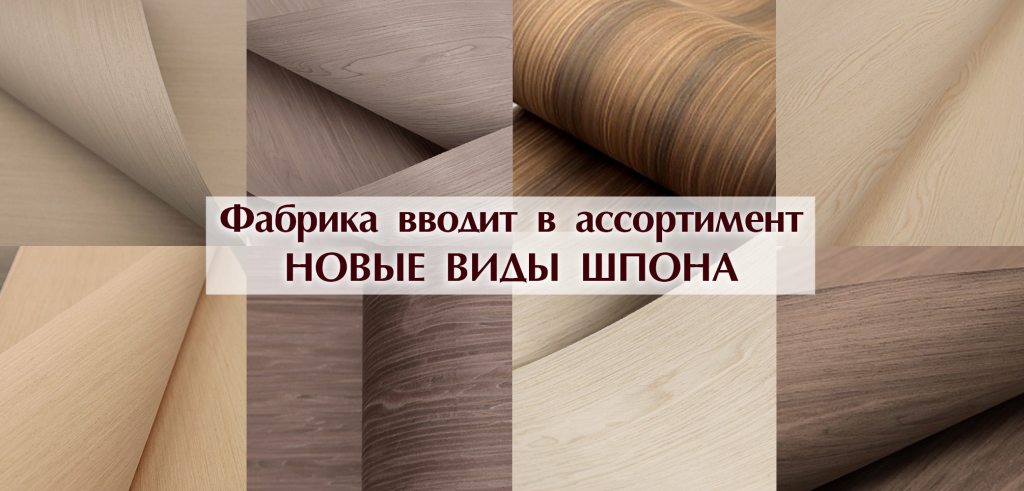 Мультишпон 1.jpg